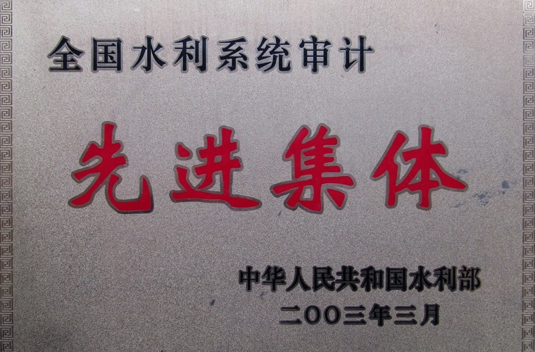 全國(guó)水利系統(tǒng)審計(jì)先進(jìn)集體