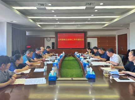 公司召開(kāi)借款及擔(dān)保工作專(zhuān)題會(huì)議